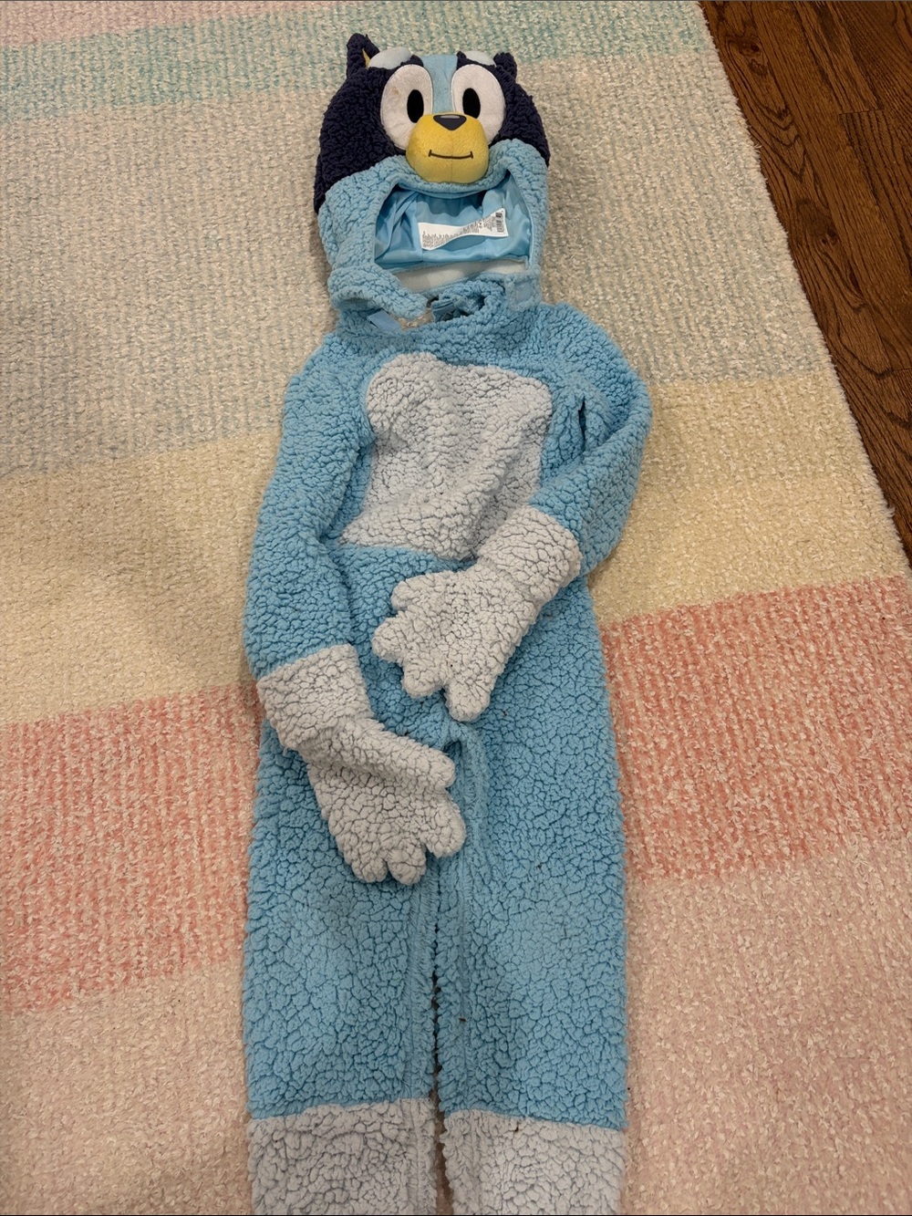 Bluey Plush Onesie Costume for Halloween